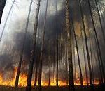 TETRA sprawdziła się podczas akcji gaszenia pożarów w Rosji.