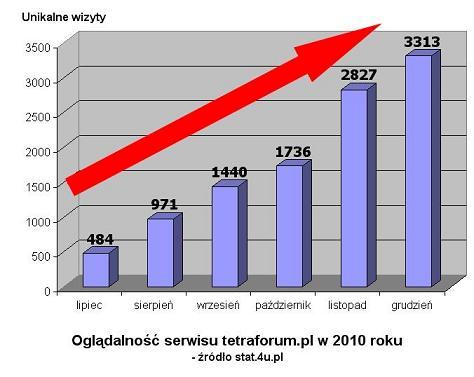 statystyki_odwiedzin_tetraforum_pl