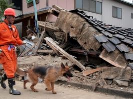 TETRA z brytyjskimi ratownikami w Japonii