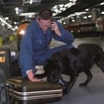 Sri Lanka wybiera bezpieczną sieć TETRA firmy CASSIDIAN