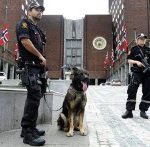 Norwedzy mocno inwestują w łączność TETRA