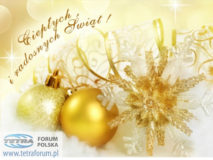 Wesołych Świąt i Szczęśliwego Nowego Roku !