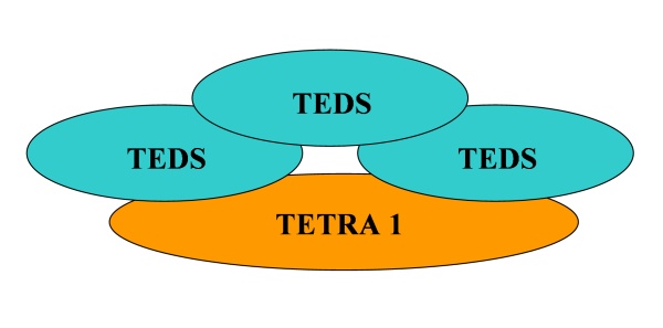 smart-grid-lacznosc-tetra-teds-2-mid.jpg