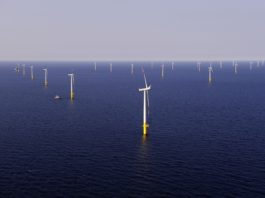 DAMM i Motorola wyposażą w łączność TETRA elektrownię wiatrową na Bałtyku