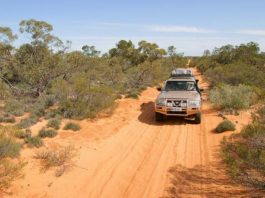 Sepura rozszerza współpracę z National Wireless