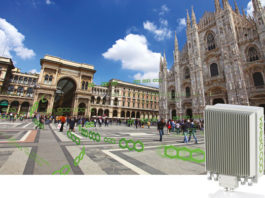 DAMM inwestuje w rozwój