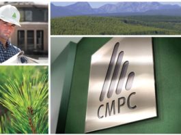 Motorola Solutions wdroży system TETRA dla Forestal Mininco w Chile